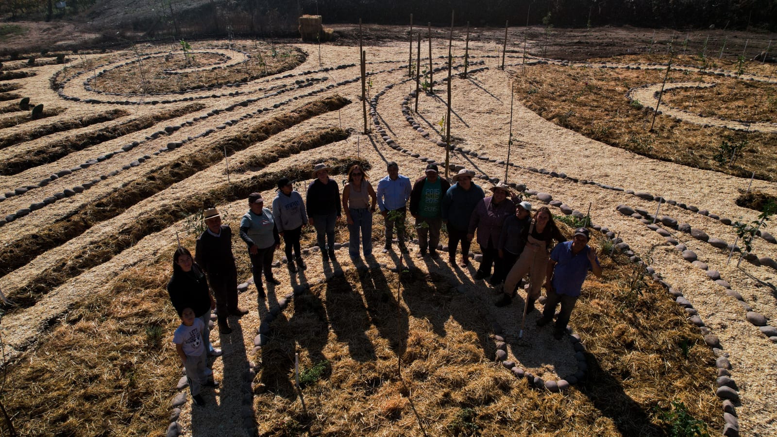 Equipo y comunidad reunidos en el centro de una plantación en espiral con acolchado de paja.